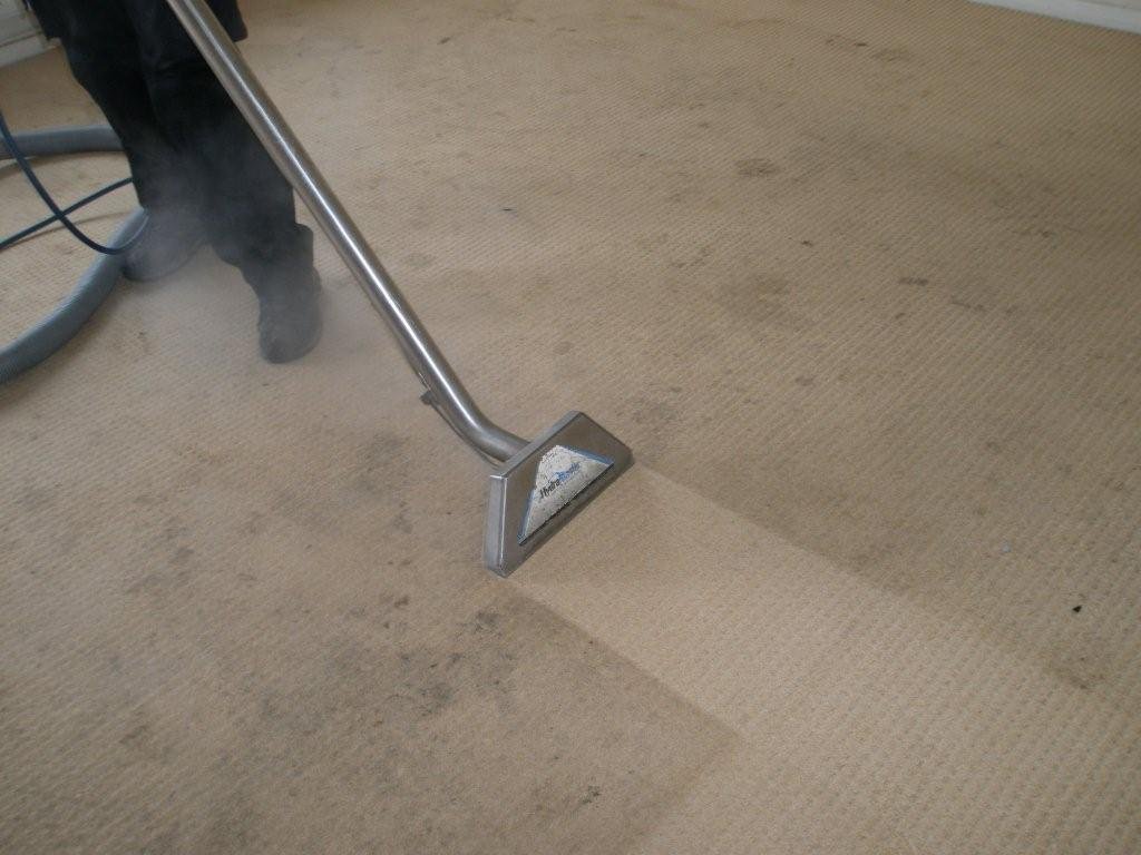 carpet cleaning billingshurst